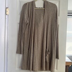 American Eagle Cardigan